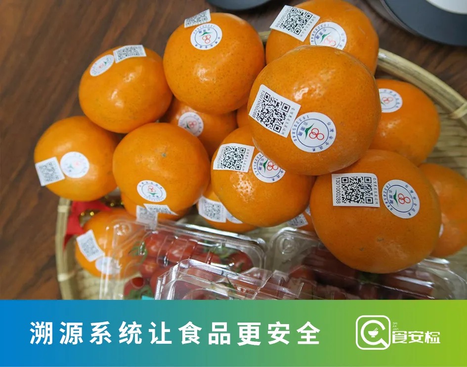 一物一码｜溯源把控食品安全新体系